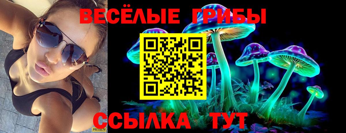 Галлюциногенные грибы ЛСД Заволжье